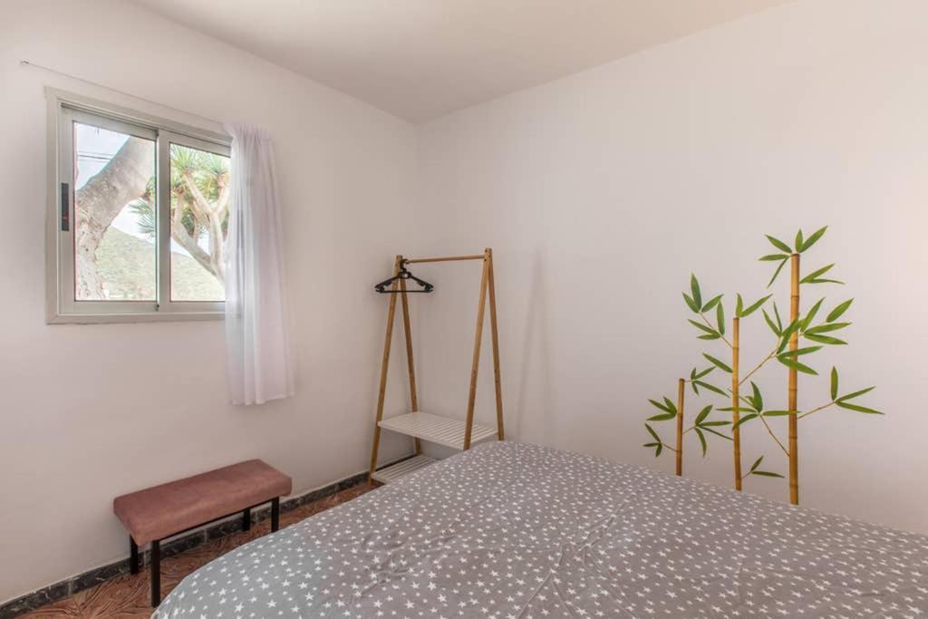 Anaga Experience: Mountain And Beach Retreat 塔加纳纳 外观 照片